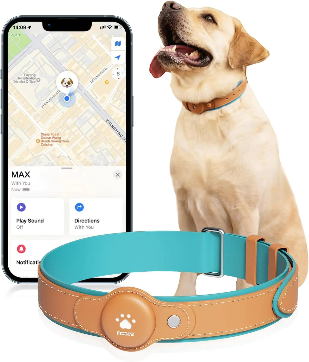 Smart Dog Tracker Collar - No Fees GPS & Real-Time Location